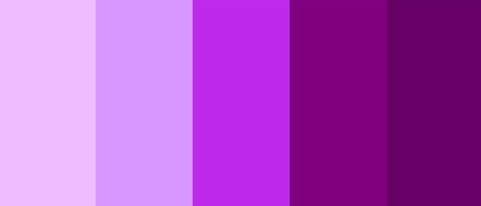 cool colors - purple