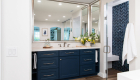 custom-glass-shower-door-with-through-the-door-satin-nickel-handle - easy clean bathroom remodel